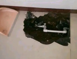 雅江卫生间测漏水多少钱